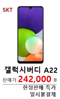 갤럭시버디 A22