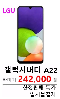 갤럭시버디 A22